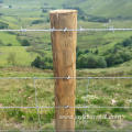 galvanized and stainless steel barbed wire